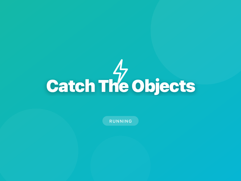 Catch The Objects